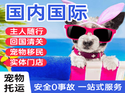 栎社航空空运国际宠物托运 【国